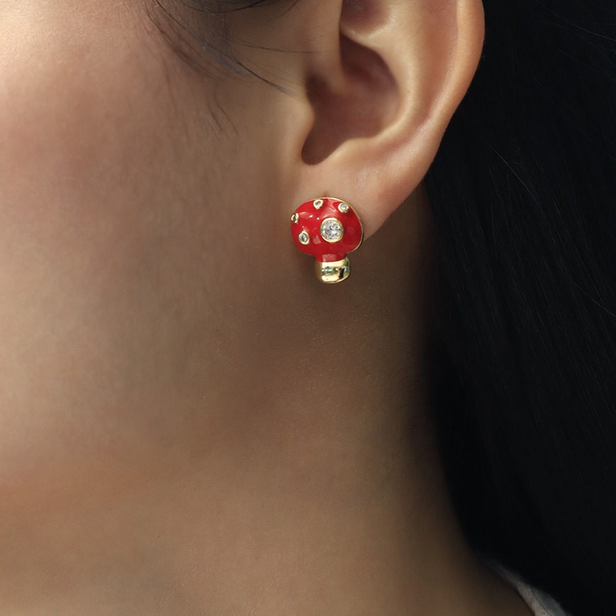 Aretes topo 2012