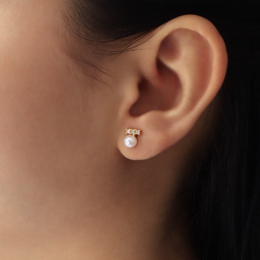 Aretes topo 7648