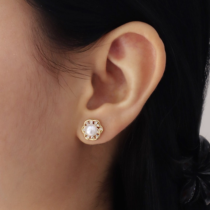 Aretes topo 7373