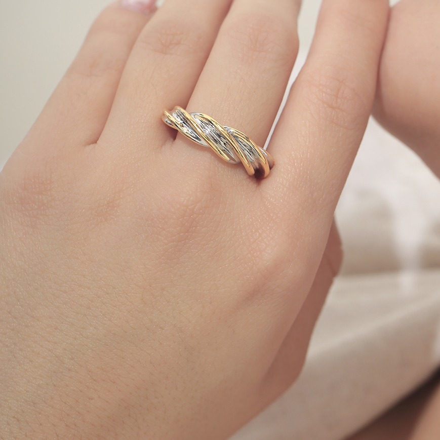 Anillo 1090