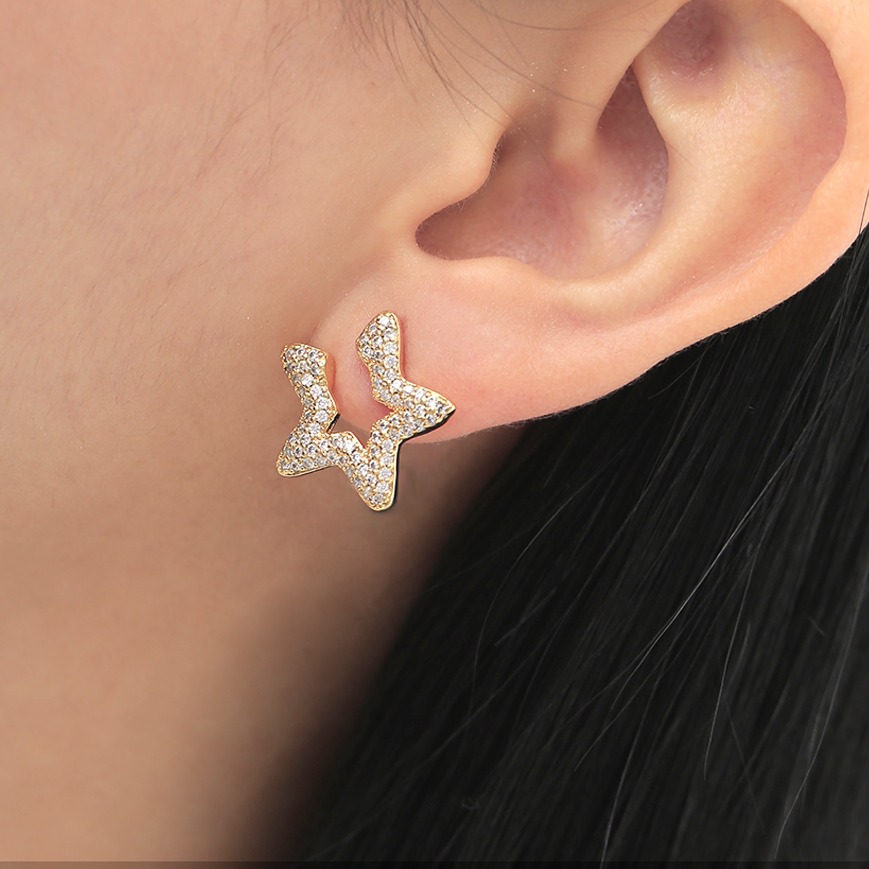 Aretes topo 3284