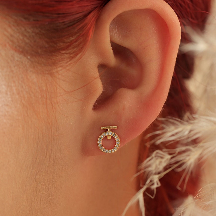 Aretes topo 001B