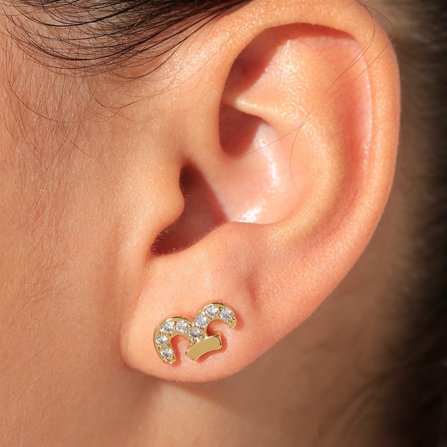 Aretes topo 4042