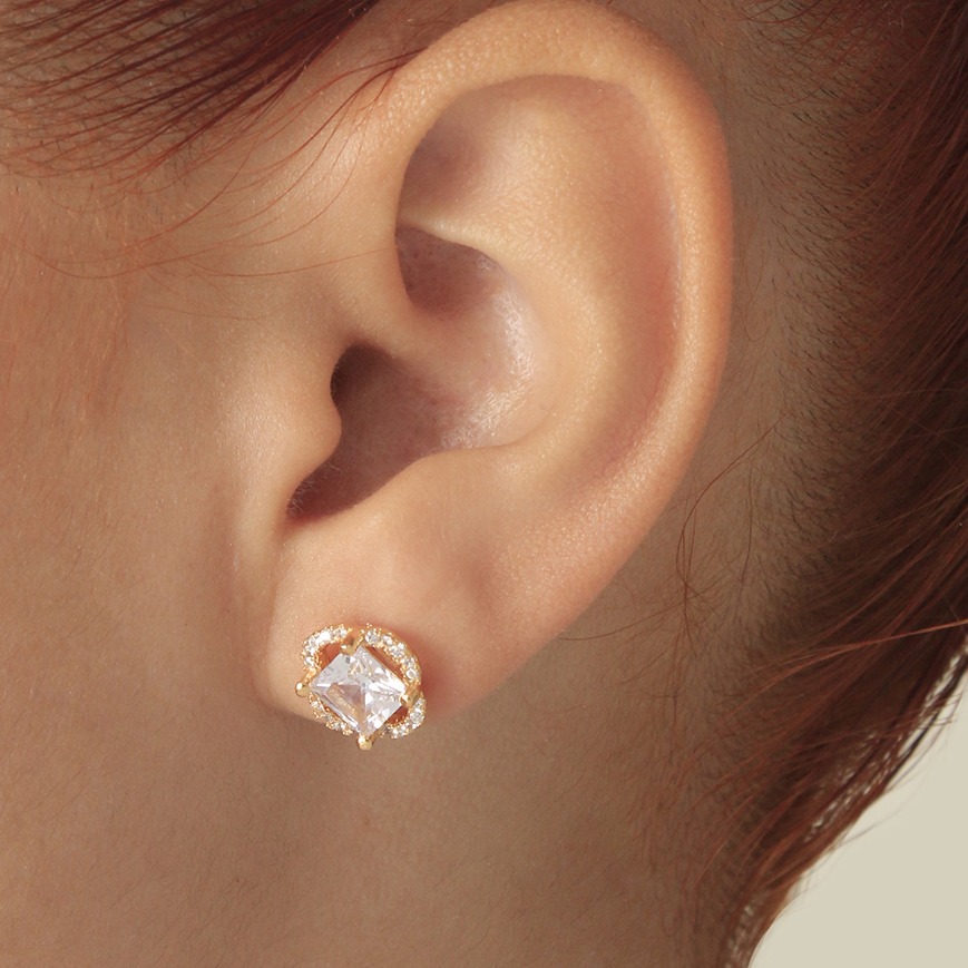Aretes topo 003B
