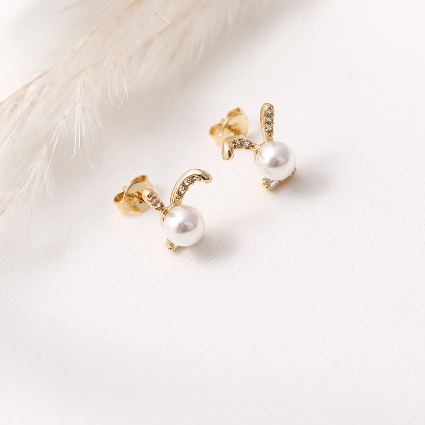 Aretes topo 6198