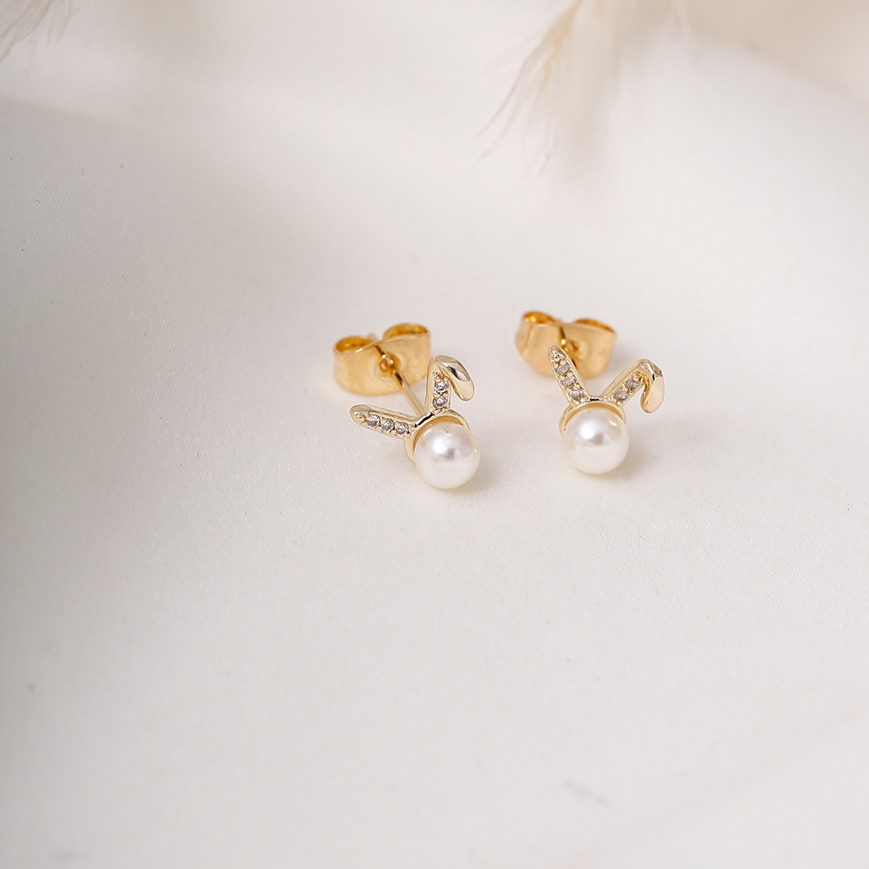Aretes topo 1601