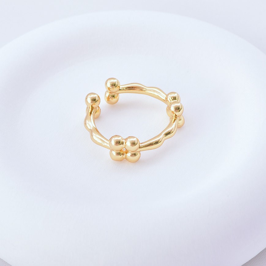 Anillo 3004
