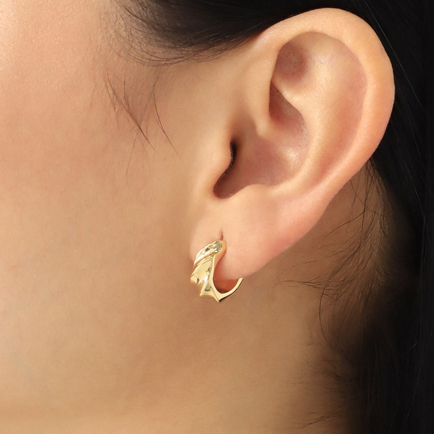 Aretes topo 9181