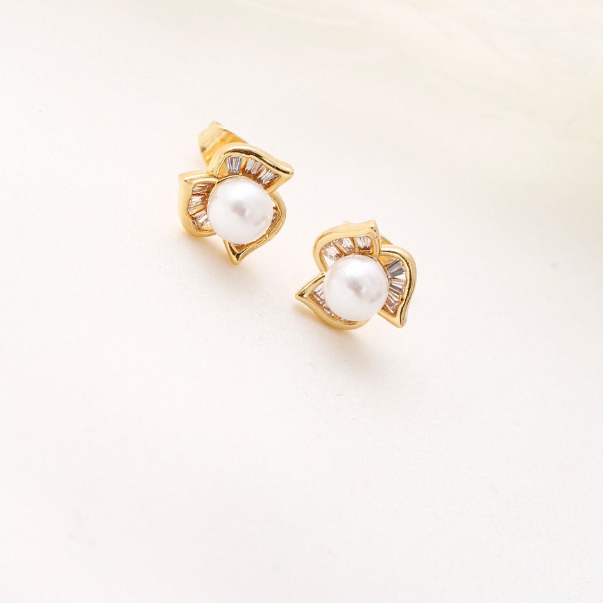 Aretes topo 7376