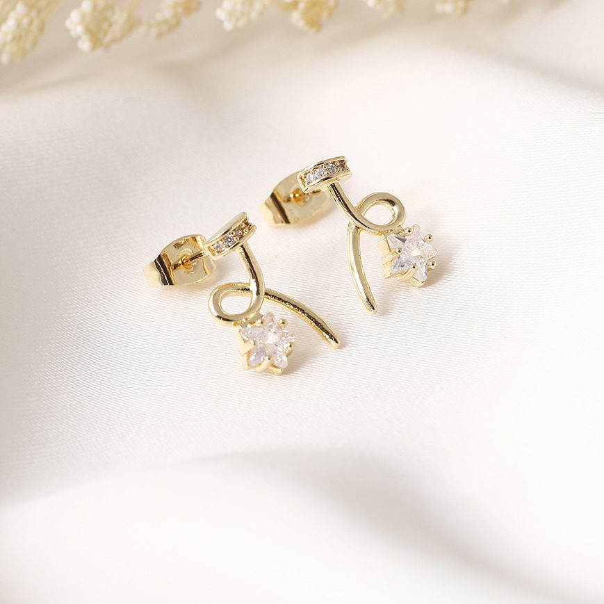 Aretes topo 1497