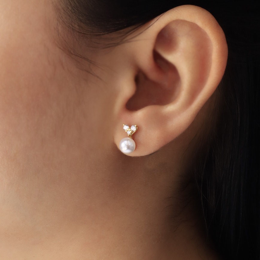 Aretes topo 7576