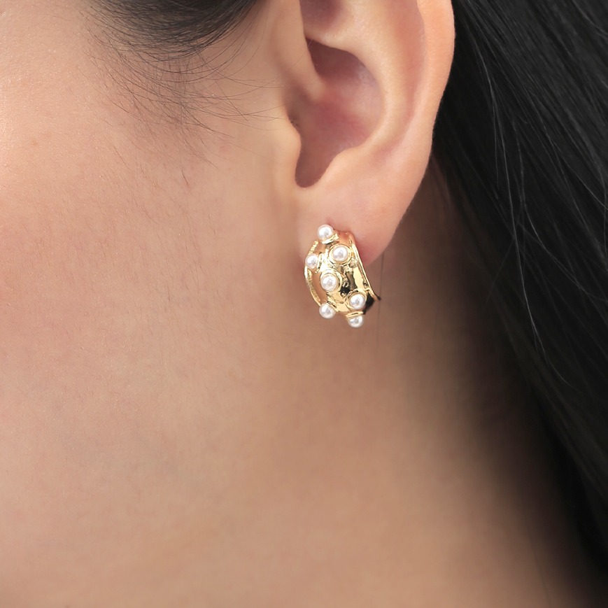 Aretes topo 1220