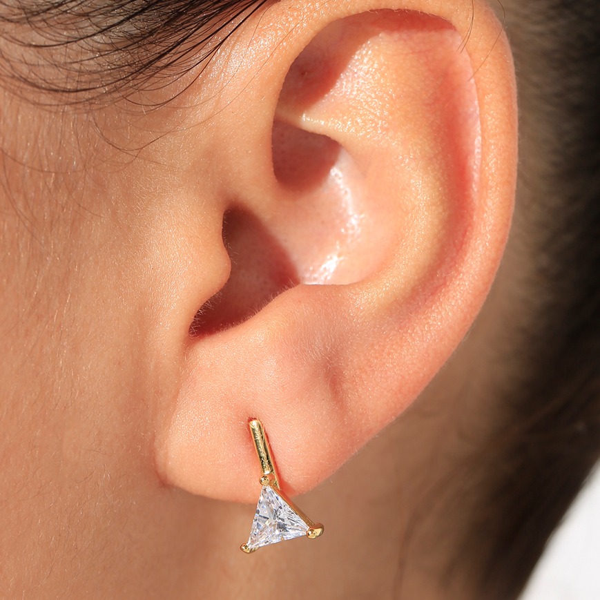 Aretes topo 4001