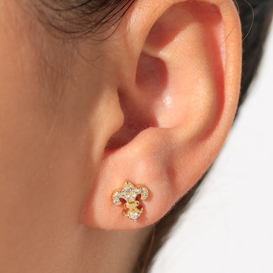 Aretes topo 4023