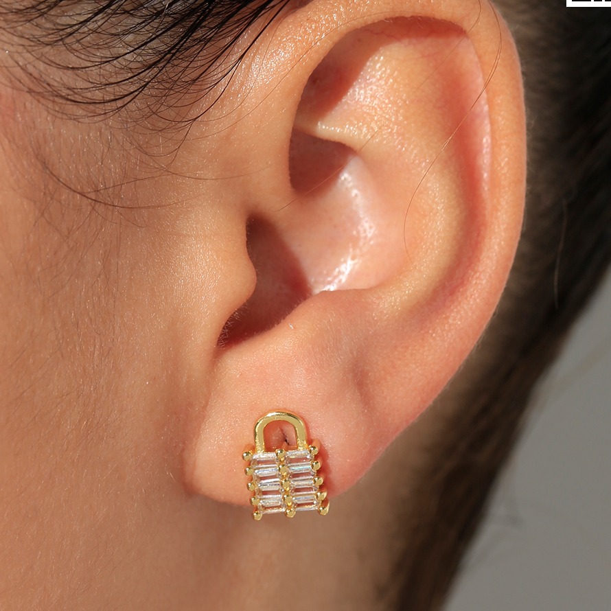 Aretes topo 3011