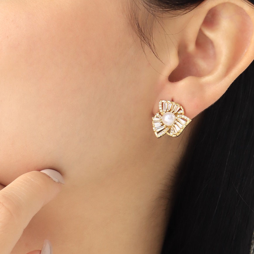 Aretes topo 1333