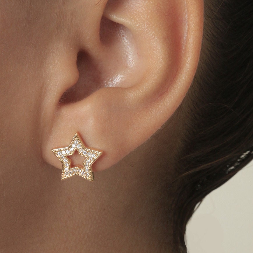 Aretes topo 005B