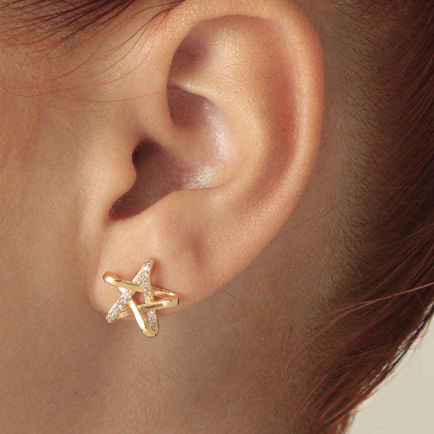 Aretes topo 021B